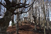 23 Faggeta verso 'Ol rocoli'